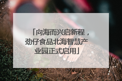 向海而兴启新程，劲仔食品北海智慧产业园正式启用